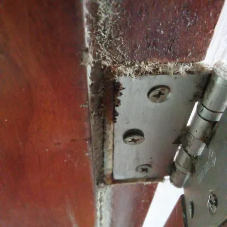 Apartahotel Apartasuit Beach, Barrio Crespo Cerca Del Aeropuerto